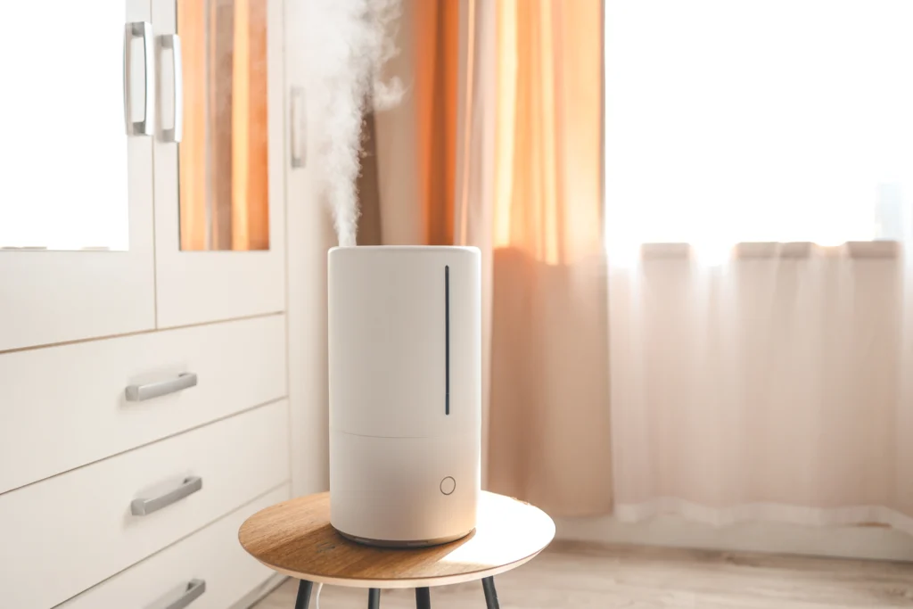 Whole-Home Humidifiers In West Jordan, UT